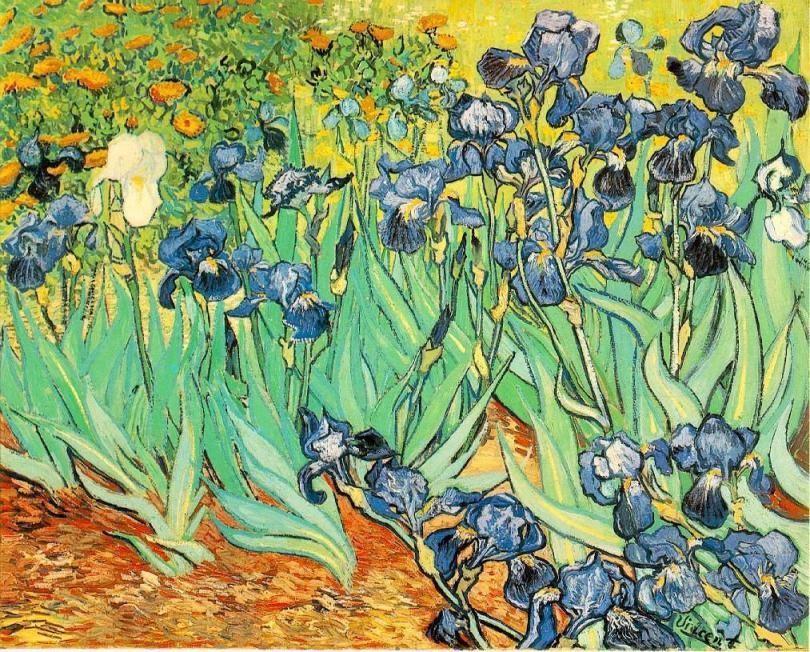 Vincent van Gogh Irises